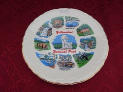 American porcelain wall decoration, Yellowstone National Park, diameter 18 cm. He has!