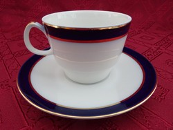 Epiag d.F. Czech porcelain teacup + saucer. Cobalt blue/gold trim. He has!