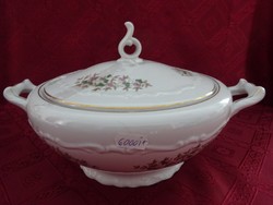Gebrüder benedikt rare antique Czechoslovak porcelain soup bowl. He has!