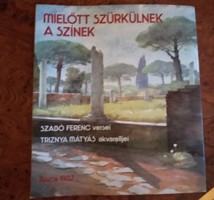 Szabó Ferenc - Triznya Mátyás: Mielőtt szürküknek a színek. Alkudható