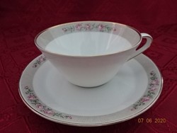 Hutschen reuther German porcelain teacup + placemat. Rose pattern. He has!