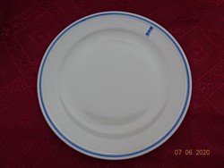 Zsolnay porcelain, antique, plate with a shield seal. Blue stripes. He has!