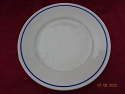Zsolnay porcelain antique, flat plate with shield seal, blue stripes. He has!