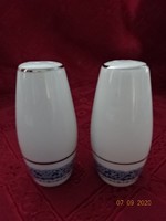 Kanehan Japanese porcelain salt shaker, height 9 cm. He has!