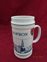 Hollóháza porcelain beer mug with Sopron coat of arms. He has!