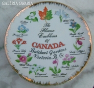 Japanese decorative plate: Canadian flowers