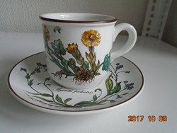 Villeroy&Boch BOTANICA sorozatból kávés/teás csésze alátéttel(4)