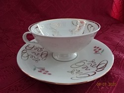 Bavaria German porcelain tea cup + saucer. He has!