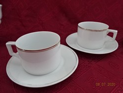 Zsolnay porcelain, antique shield seal teacup + saucer. He has!