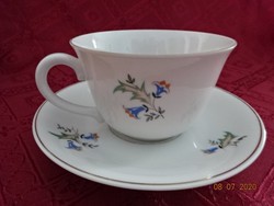 Suisse langenthal Swiss porcelain tea cup + saucer. He has!