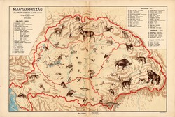 Magyarország állatföldrajzi térkép 1928, magyar nyelvű, 28 x 42 cm, állat, hal, madár, emlős