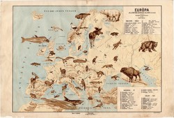 Európa állatföldrajzi térkép 1928, magyar nyelvű, 28 x 41 cm, madár, hal, gerinces, állat