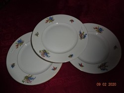Schönwald German porcelain, antique flat plate. He has!