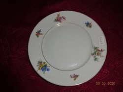 Schönwald German porcelain, antique cake plate. He has!