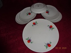 Winterling Bavarian German porcelain 11-person cake set with red flower pattern. He has!