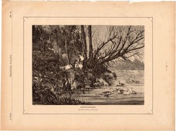Libapásztorok, fametszet 1881, metszet, nyomat, 18 x 25 cm, Ország - Világ, újság, liba, pásztor