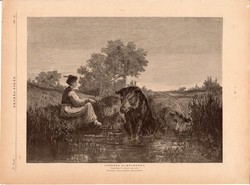 Csöndes elmélkedés, fametszet 1881, metszet, nyomat, 23 x 31 cm, Ország - Világ, újság, vaddisznó
