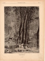 Erdő részlet, fametszet 1881, metszet, nyomat, 22 x 30 cm, Ország - Világ, újság, fa, szarvas
