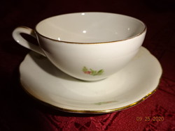 Mz Czechoslovak porcelain yellow rose pattern coffee cup + coaster. He has!