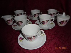 Seltmann Weiden Bavarian German porcelain, rose pattern, coffee set for six. He has!
