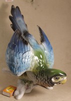 Porcelán óriás papagáj 460
