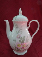 Seltmann Weiden Bavarian German porcelain teapot with pink flower, 1.5 l. He has!