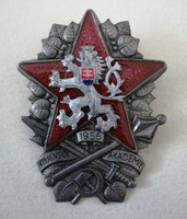 Csehszlovák Katonai Akadémia végzettségi jelvény 1956 - MÁSOLAT 