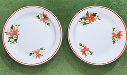 Zsolnay Mikulásvirágos 2 db kis tányér 19,5 cm 