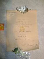Honvédségi alhadnaggyá előléptetési okirat - 1950
