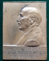 József Kún: dr. Plaque of Gyula Tarnay 1913