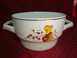 Raven house porcelain, large bowl with two handles and goulash soup. He has!