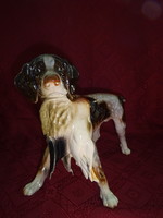 German porcelain dog, German Vizsla with wild duck. He has!