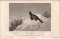 A cold look - out, acélmetszet 1868, metszet, eredeti, 10 x 14, állat, róka, tél, festmény, Corbet