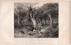 Fácánvadászat, acélmetszet 1839, metszet, eredeti, 10 x 13, fácán, vadász, kutya, vadászat, erdő
