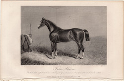 False Alarm, acélmetszet 1868, metszet, eredeti, 10x14, ló, versenyló, lóverseny, mén, thoroughbred