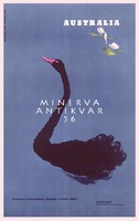 Tavon úszó fekete hattyú tavirózsa Ausztrália utazási hirdetés Vintage reklám reprint