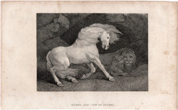 Ló és oroszlán, rézmetszet 1808, metszet, eredeti, 9 x 12, állat, vad, ragadozó, George Stubbs