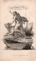 Bika, Milo, rézmetszet 1808, metszet, eredeti, 11 x 13, állat, Sporting Magazine, vadászat
