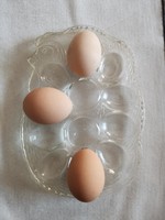 Húsvéti tojás kínáló üveg tyúk tálka 
