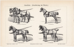 Hámtípusok, egyszín nyomat 1904, német nyelvű, eredeti, állat, ló, befogás, hintó, lovaskocsi, hám
