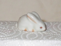 Aquincumi. Miniature rare bunny.