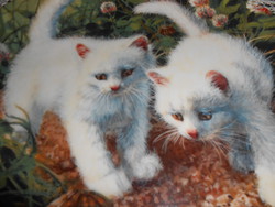 Bradex porcelán dísztányér.  Amy Brackenbury 's Cat Tales Collection.