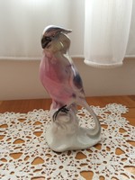 Foreign porcelán papagáj 