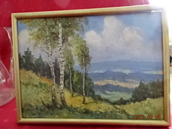 Tájkép, olaj festmény, V. Novák aláírással, mérete 36 x 27 cm. Vanneki!