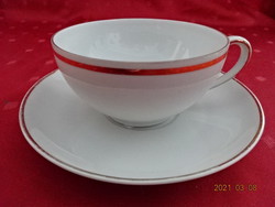 Seltmann bavaria vohenstrauss porcelain teacup + placemat. He has!