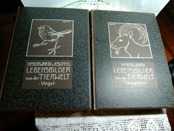 Antik német vadászati könyvek / gótbetűs /