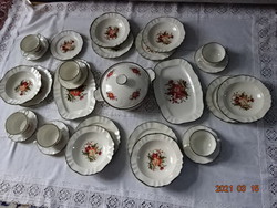 Pagnossin treviso italy. Faience, antique tableware of 32 pieces. He has!