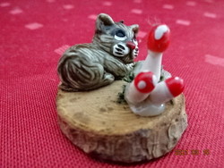 Tabby kitten lying at the base of the mushroom. Size 3.5 x 3 cm. He has!