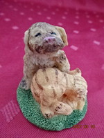 Dog, cat friendship, synthetic resin, base 5 x 4.5 cm. He has!