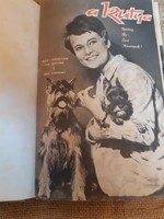 A kutya magazin 1968-1969 évek